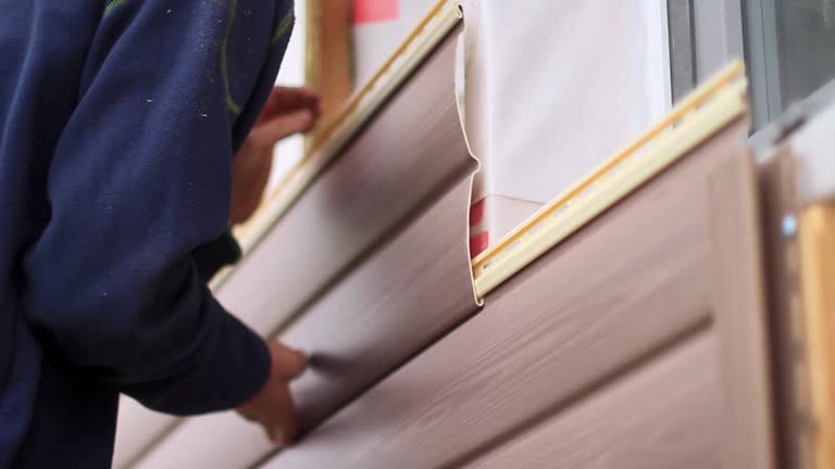 Same-Day Junk Removal Services in Nogales, AZ